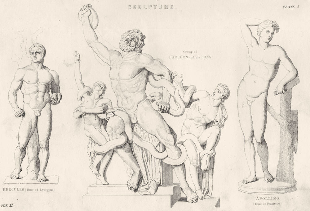 SCULPTURE. Hercules (Time Lysippus) ; Laocoon Sons; Apollino (Praxiteles)  1880